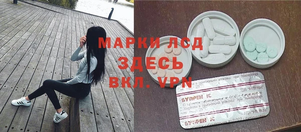 стафф Арсеньев