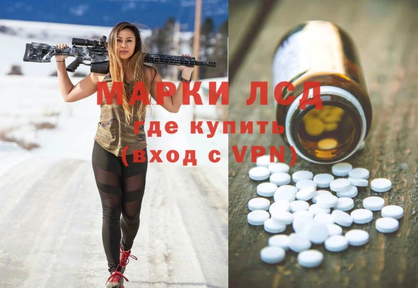 стафф Арсеньев
