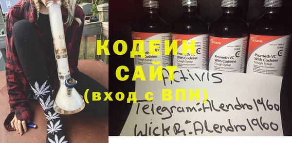 стафф Арсеньев