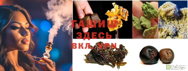 стафф Арсеньев